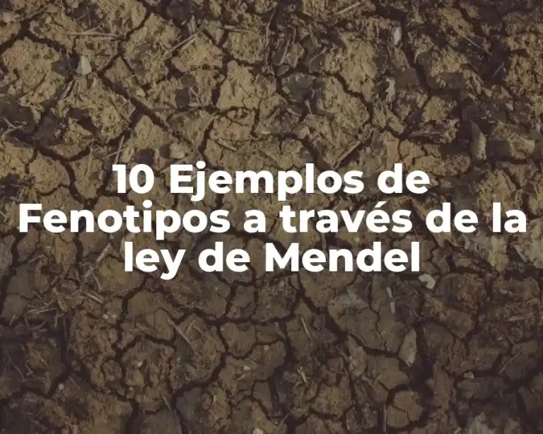 10 Ejemplos de Fenotipos a través de la ley de Mendel