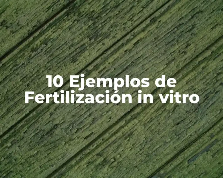 10 Ejemplos de Fertilización in vitro