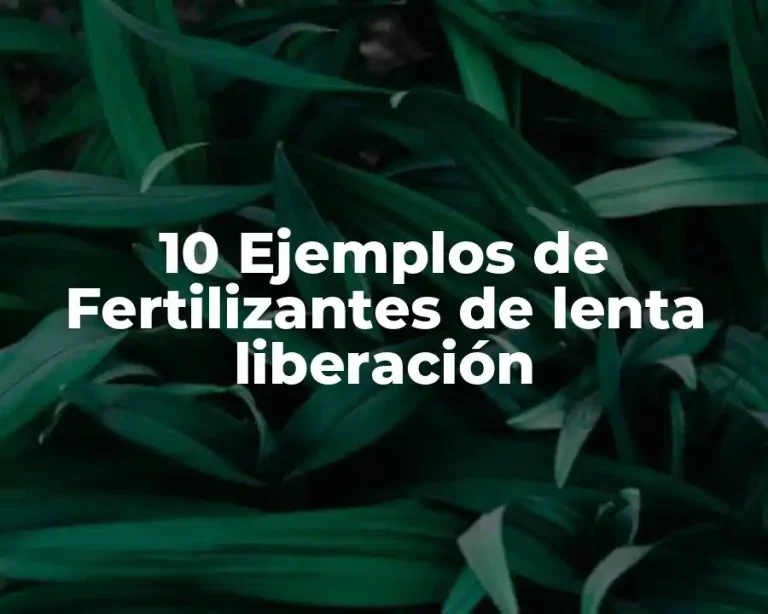 10 Ejemplos de Fertilizantes de lenta liberación