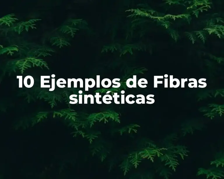 10 Ejemplos de Fibras sintéticas