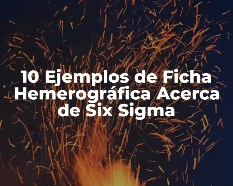 10 Ejemplos de Ficha Hemerográfica Acerca de Six Sigma