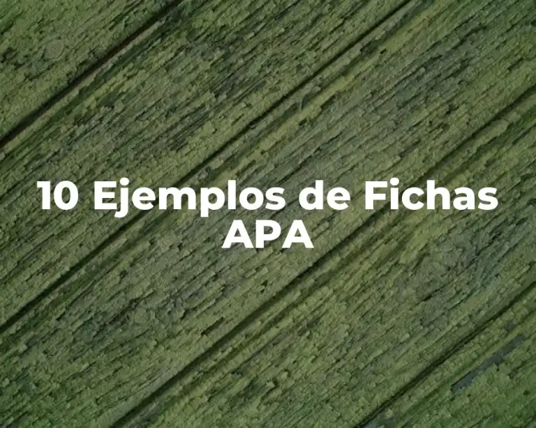 10 Ejemplos de Fichas APA