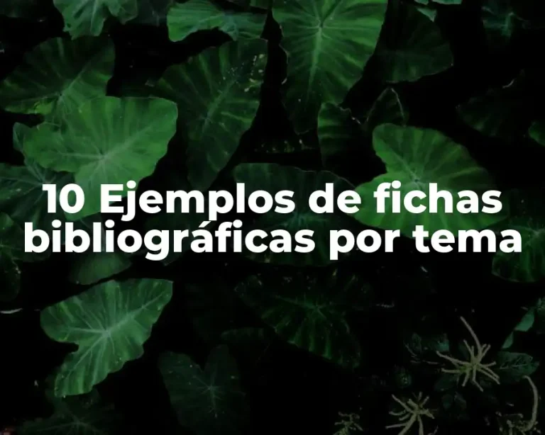 10 Ejemplos de fichas bibliográficas por tema