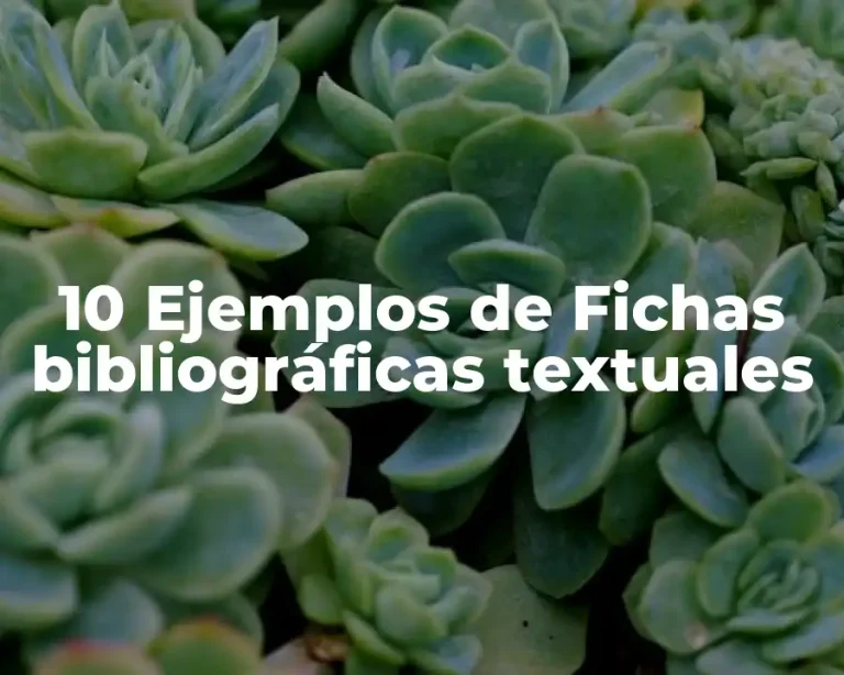 10 Ejemplos de Fichas bibliográficas textuales