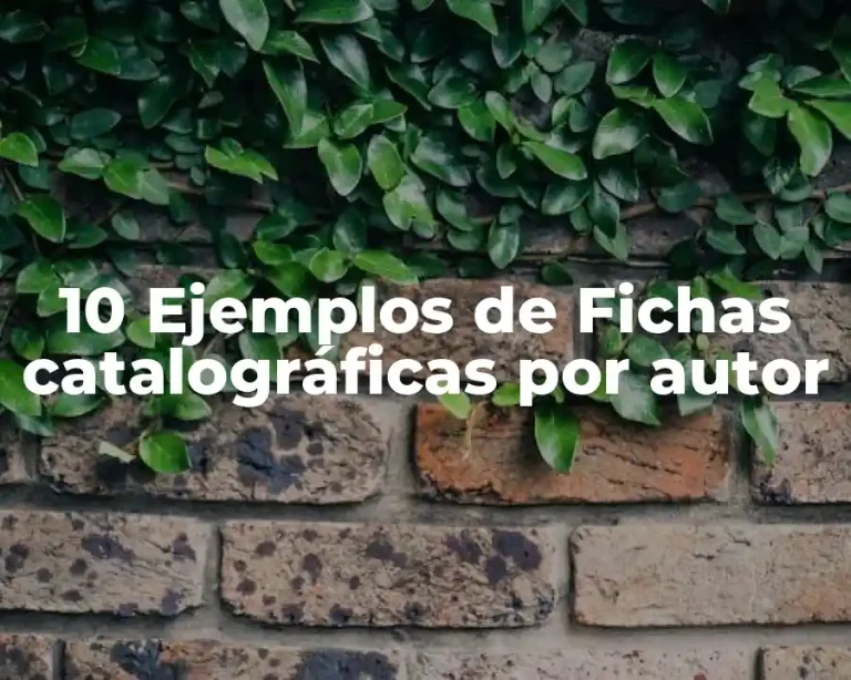 10 Ejemplos de Fichas catalográficas por autor