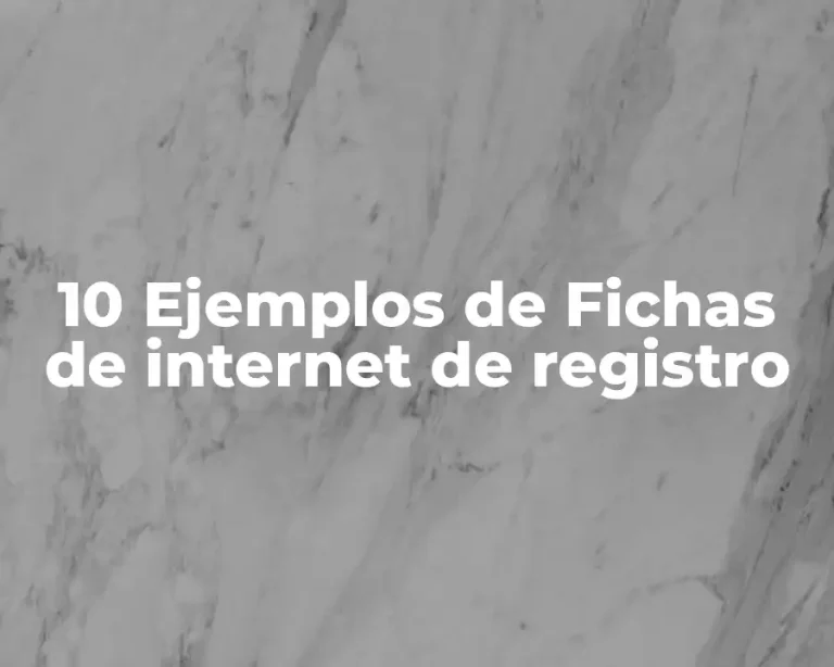 10 Ejemplos de Fichas de internet de registro