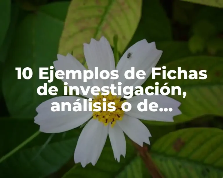10 Ejemplos de Fichas de investigación, análisis o de comentario