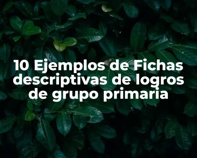 10 Ejemplos de Fichas descriptivas de logros de grupo primaria