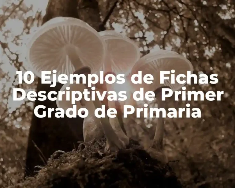 10 Ejemplos de Fichas Descriptivas de Primer Grado de Primaria
