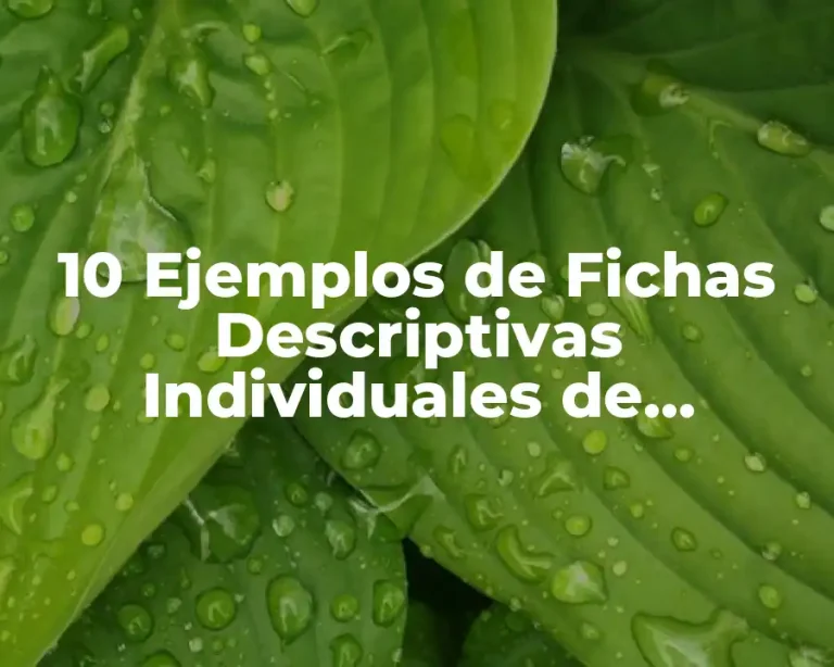 10 Ejemplos de Fichas Descriptivas Individuales de Alumnos de Primaria