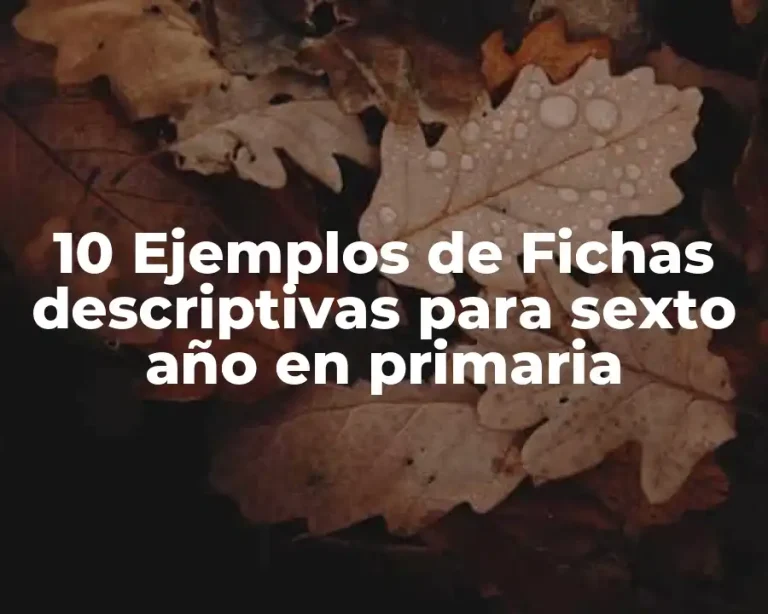 10 Ejemplos de Fichas descriptivas para sexto año en primaria