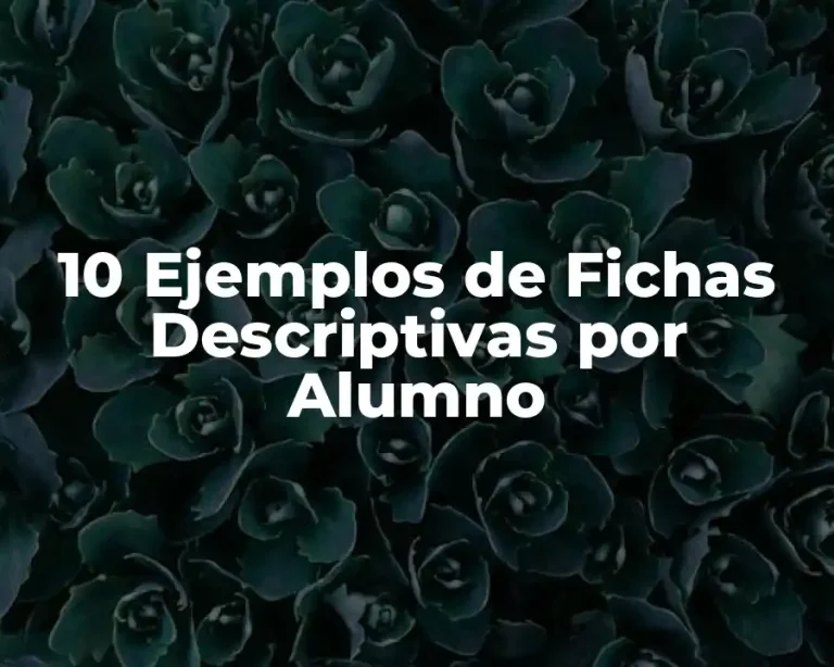 10 Ejemplos de Fichas Descriptivas por Alumno