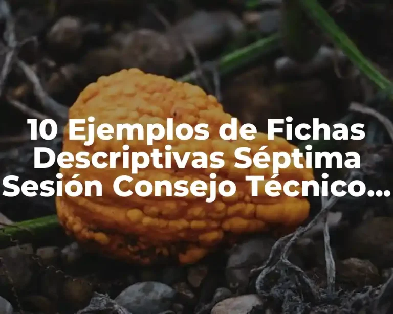 10 Ejemplos de Fichas Descriptivas Séptima Sesión Consejo Técnico Primaria