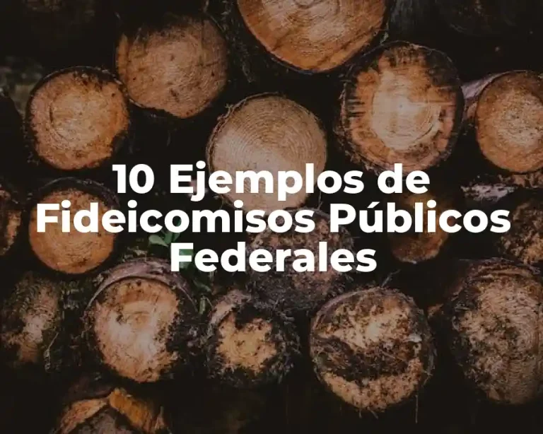 10 Ejemplos de Fideicomisos Públicos Federales