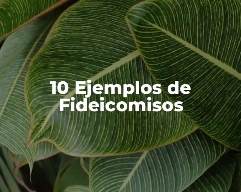 10 Ejemplos de Fideicomisos