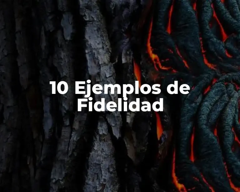 10 Ejemplos de Fidelidad