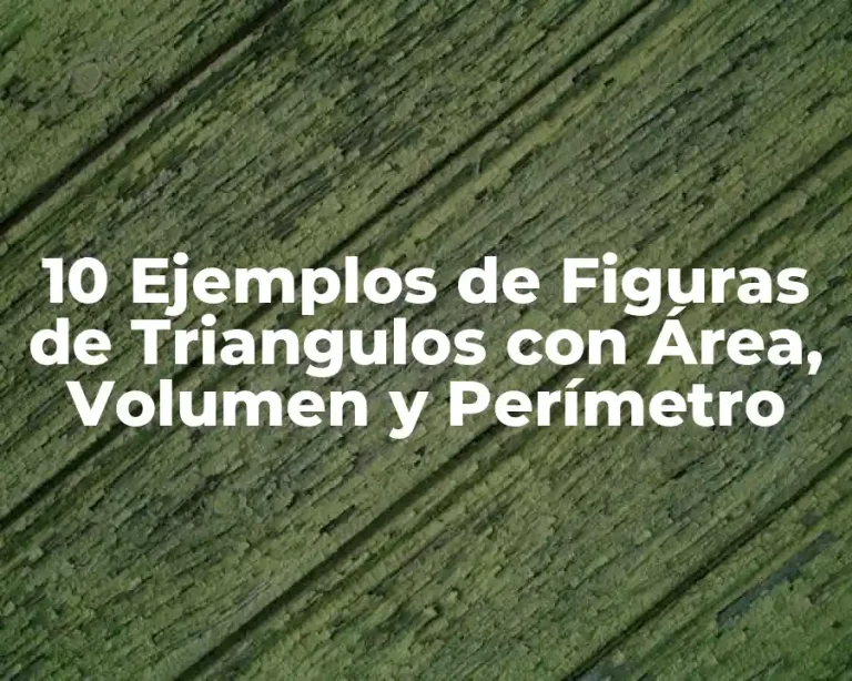 10 Ejemplos de Figuras de Triangulos con Área, Volumen y Perímetro