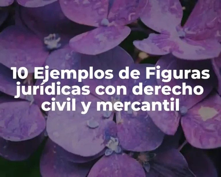 10 Ejemplos de Figuras jurídicas con derecho civil y mercantil