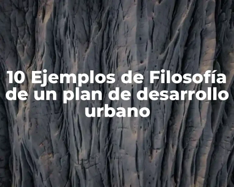 10 Ejemplos de Filosofía de un plan de desarrollo urbano
