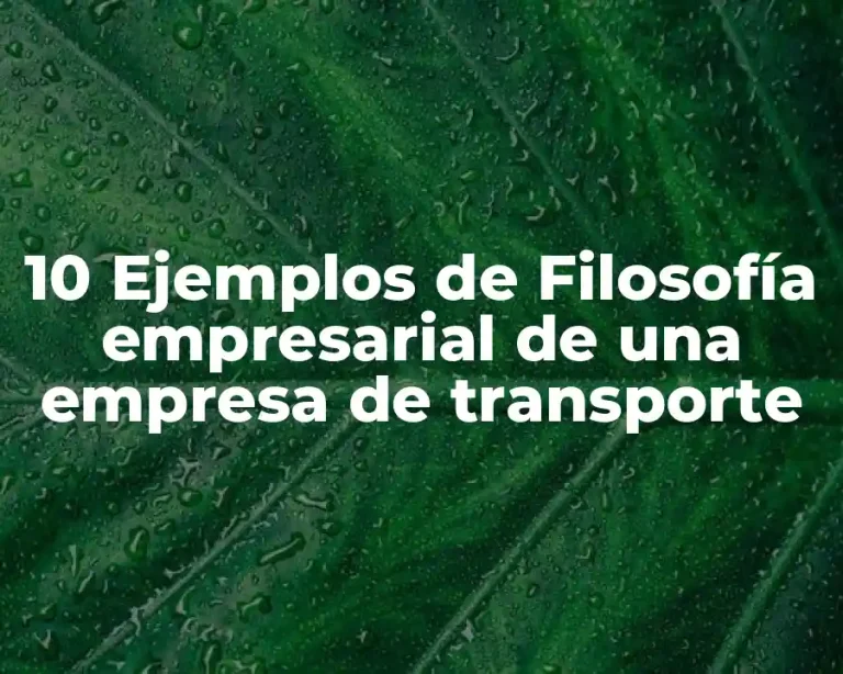 10 Ejemplos de Filosofía empresarial de una empresa de transporte
