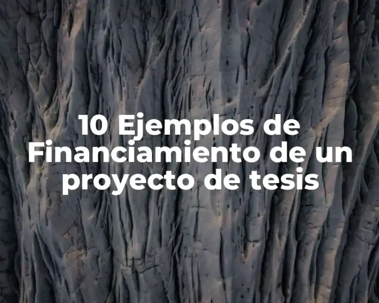 10 Ejemplos de Financiamiento de un proyecto de tesis