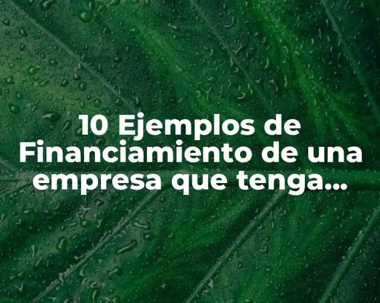 10 Ejemplos de Financiamiento de una empresa que tenga pérdidas