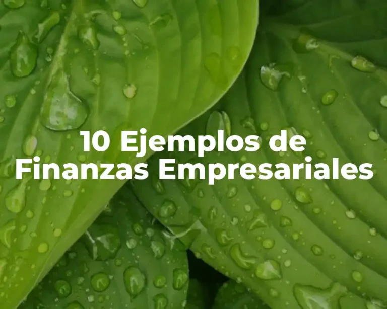10 Ejemplos de Finanzas Empresariales