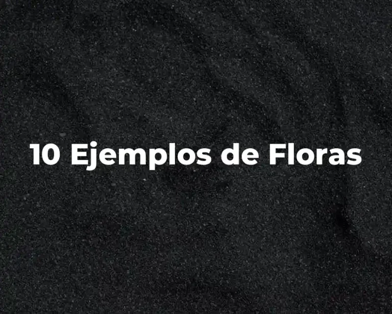 10 Ejemplos de Floras
