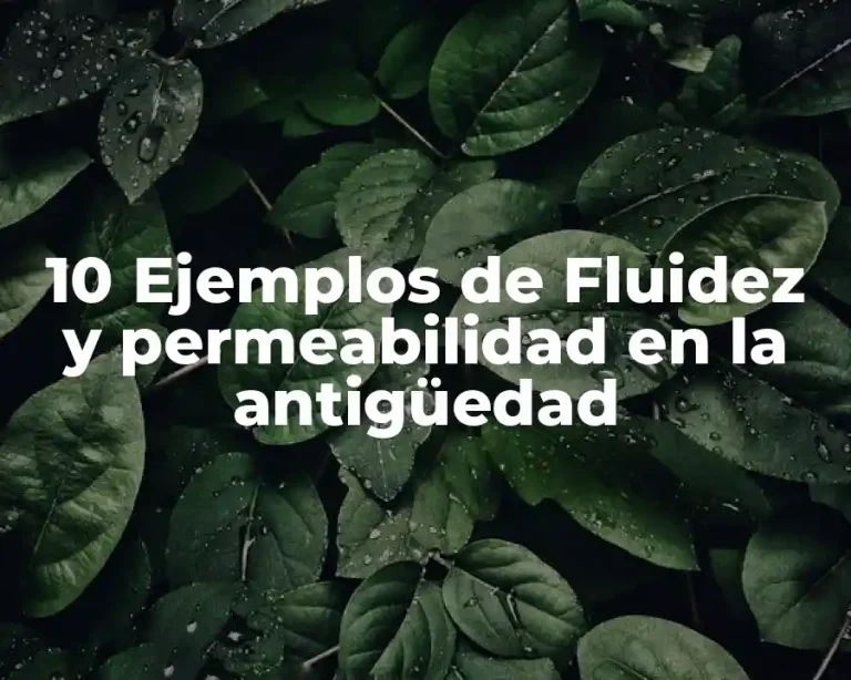 10 Ejemplos de Fluidez y permeabilidad en la antigüedad
