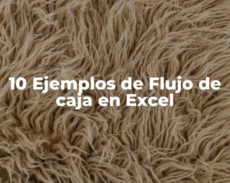10 Ejemplos de Flujo de caja en Excel