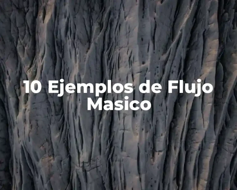 10 Ejemplos de Flujo Masico