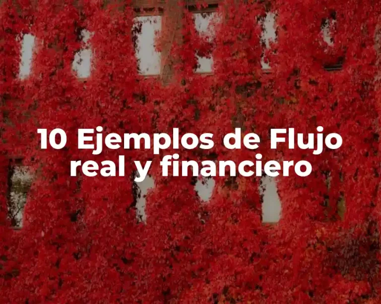 10 Ejemplos de Flujo real y financiero