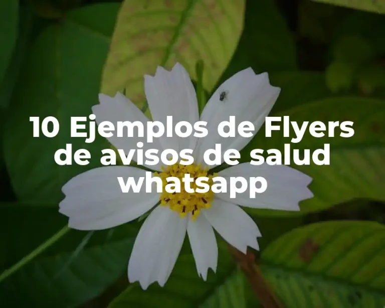 10 Ejemplos de Flyers de avisos de salud whatsapp