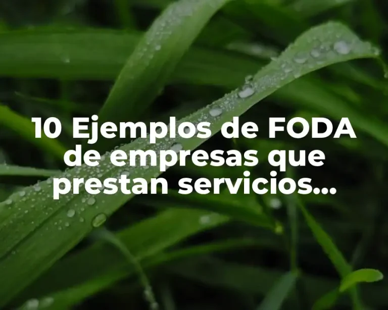 10 Ejemplos de FODA de empresas que prestan servicios electromecánicos