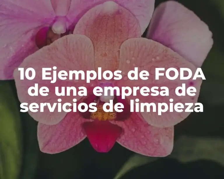 10 Ejemplos de FODA de una empresa de servicios de limpieza