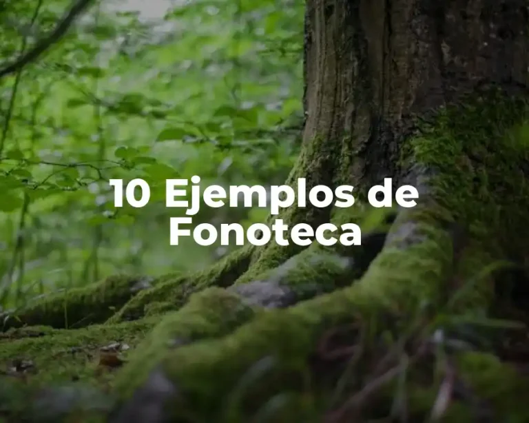 10 Ejemplos de Fonoteca
