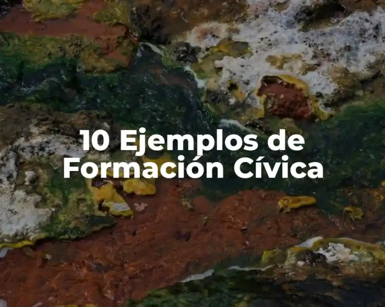 10 Ejemplos de Formación Cívica