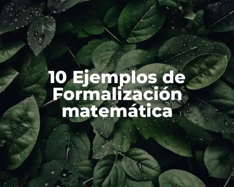 10 Ejemplos de Formalización matemática