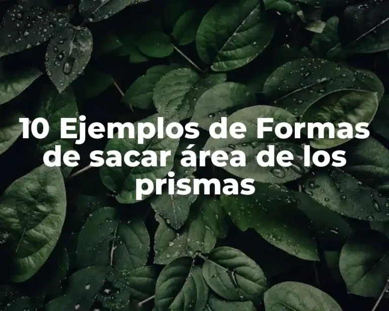 10 Ejemplos de Formas de sacar área de los prismas