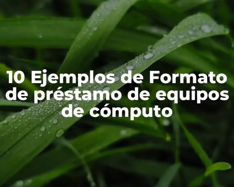 10 Ejemplos de Formato de préstamo de equipos de cómputo