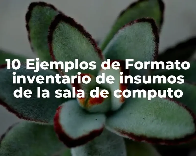 10 Ejemplos de Formato inventario de insumos de la sala de computo