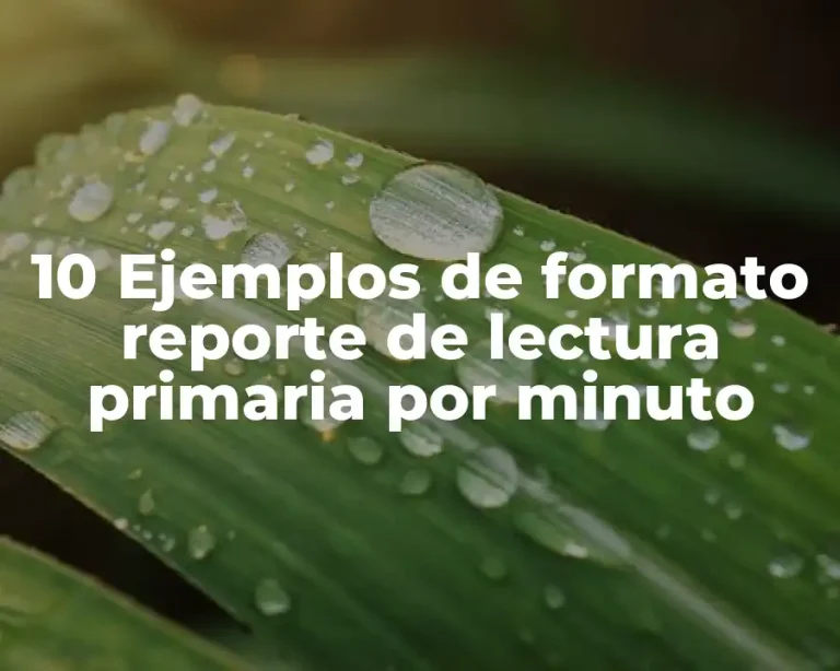 10 Ejemplos de formato reporte de lectura primaria por minuto