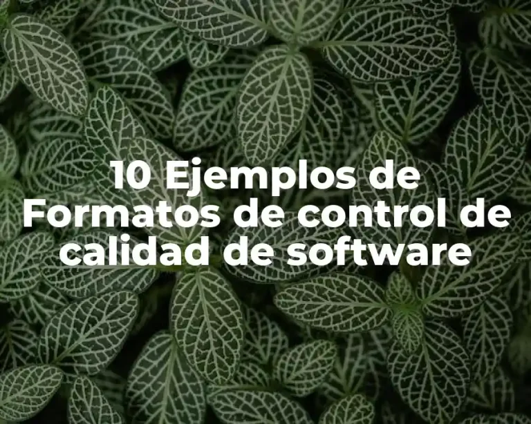 10 Ejemplos de Formatos de control de calidad de software