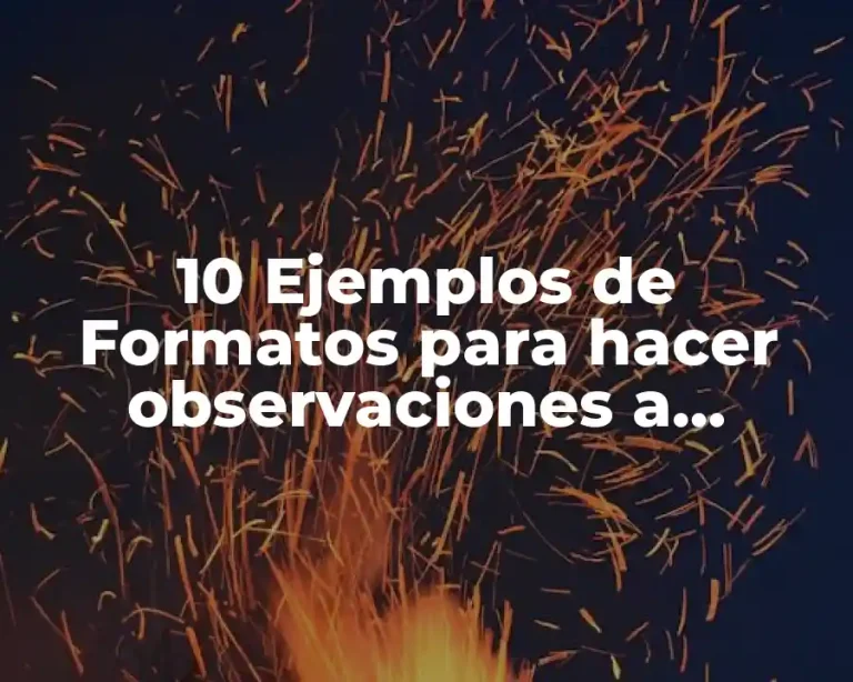 10 Ejemplos de Formatos para hacer observaciones a alumnos de primaria