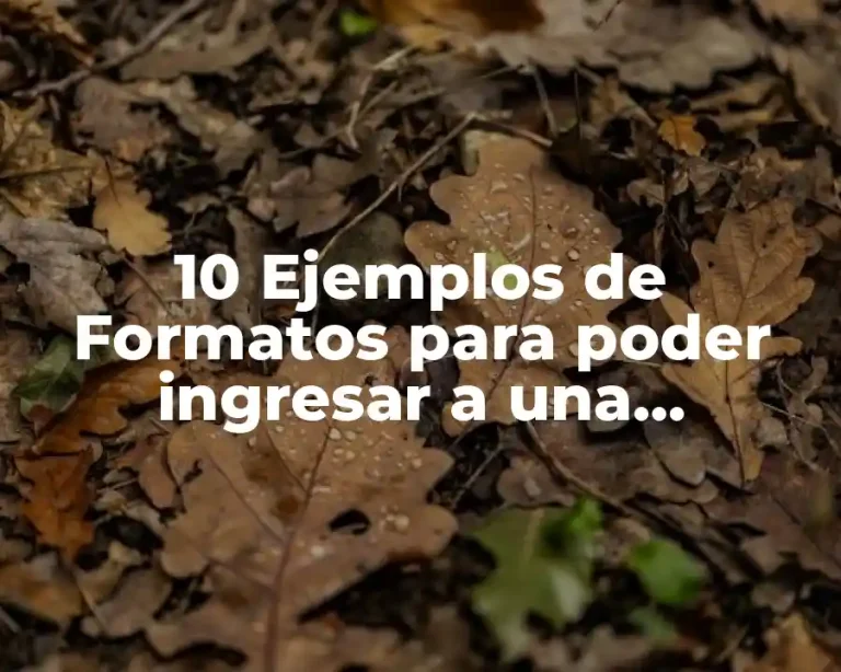 10 Ejemplos de Formatos para poder ingresar a una instalación