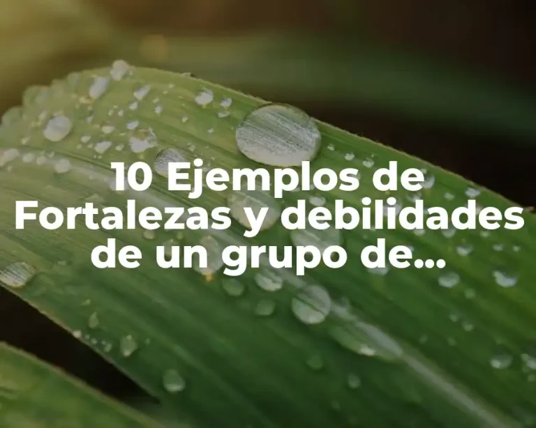 10 Ejemplos de Fortalezas y debilidades de un grupo de estudiantes