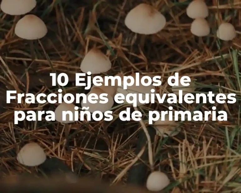 10 Ejemplos de Fracciones equivalentes para niños de primaria