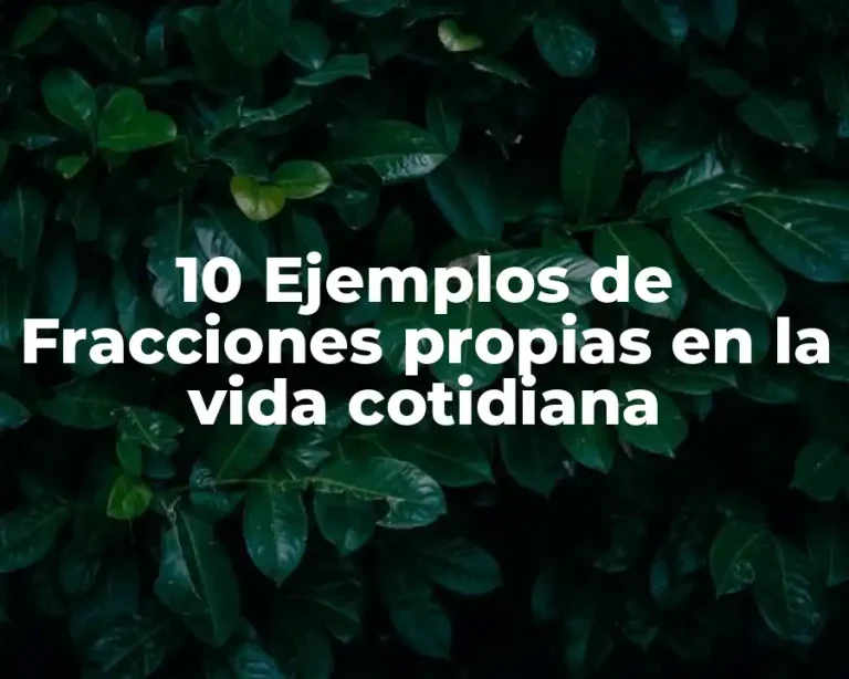 10 Ejemplos de Fracciones propias en la vida cotidiana