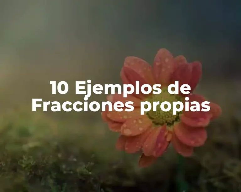 10 Ejemplos de Fracciones propias