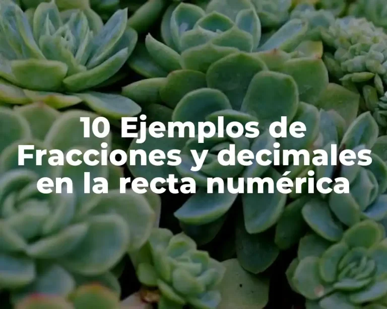 10 Ejemplos de Fracciones y decimales en la recta numérica